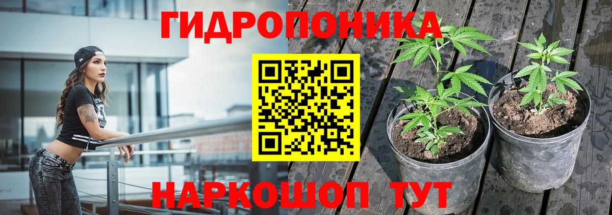 Бошки марихуана MAZAR Москва